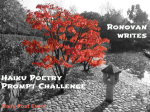 haiku-challenge-image1