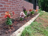 I needed some motivation and distraction and planted these flowers in the empty flower bed next to the house near the boxes.